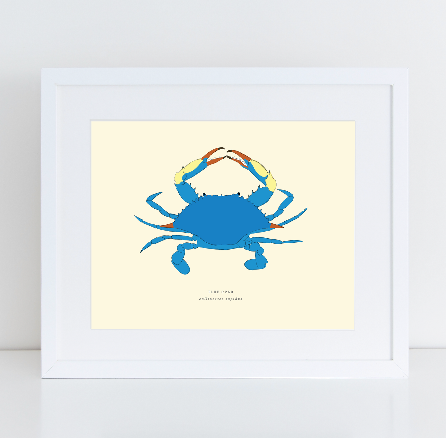Blue Crab