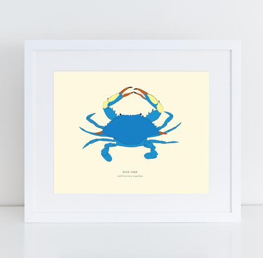 Blue Crab
