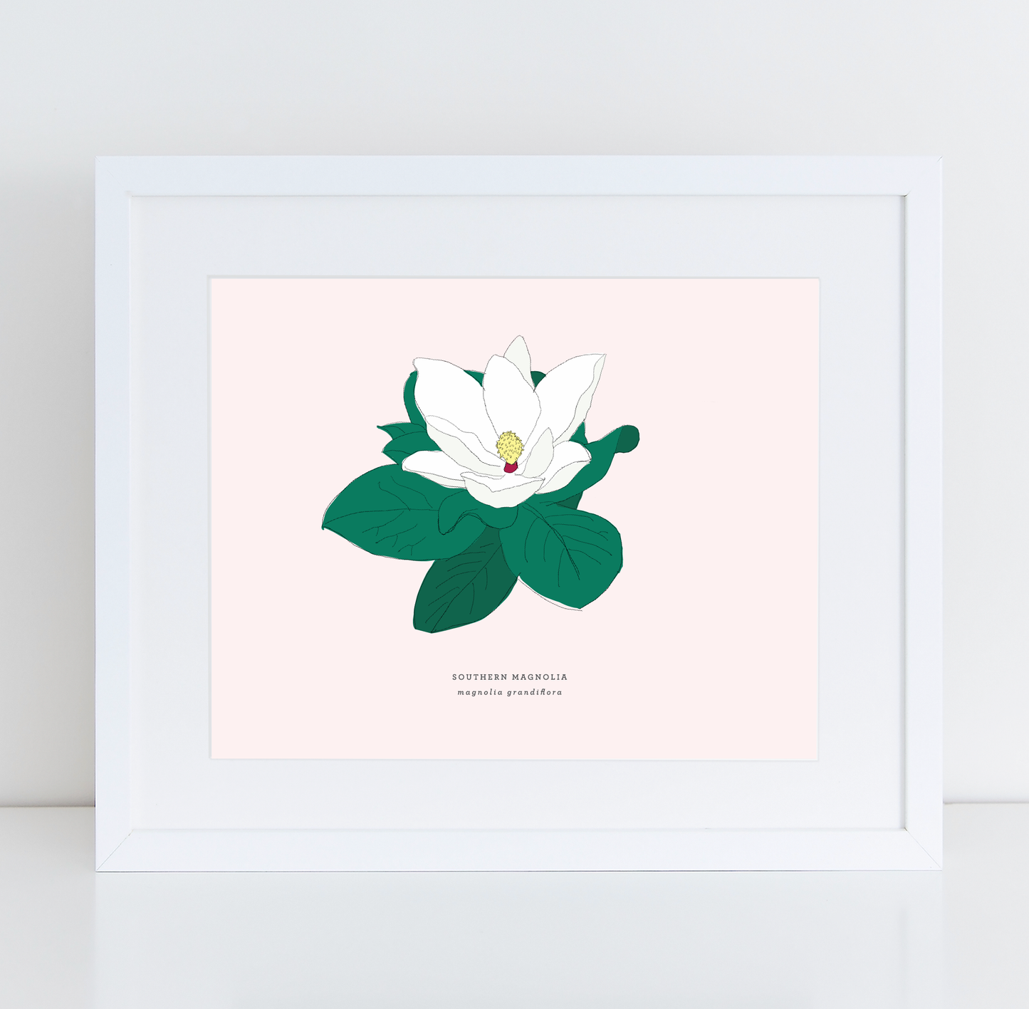 Magnolia